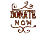 Donate Now